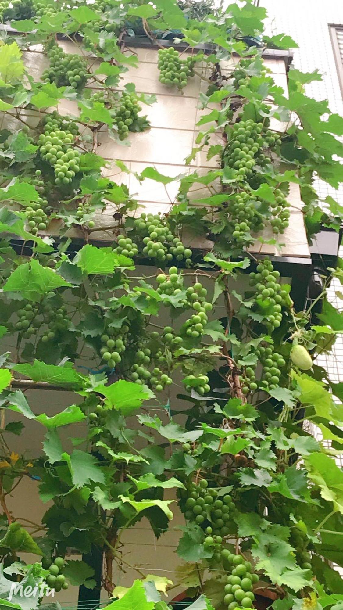 東京吉久花園旅館 Ferienhaus