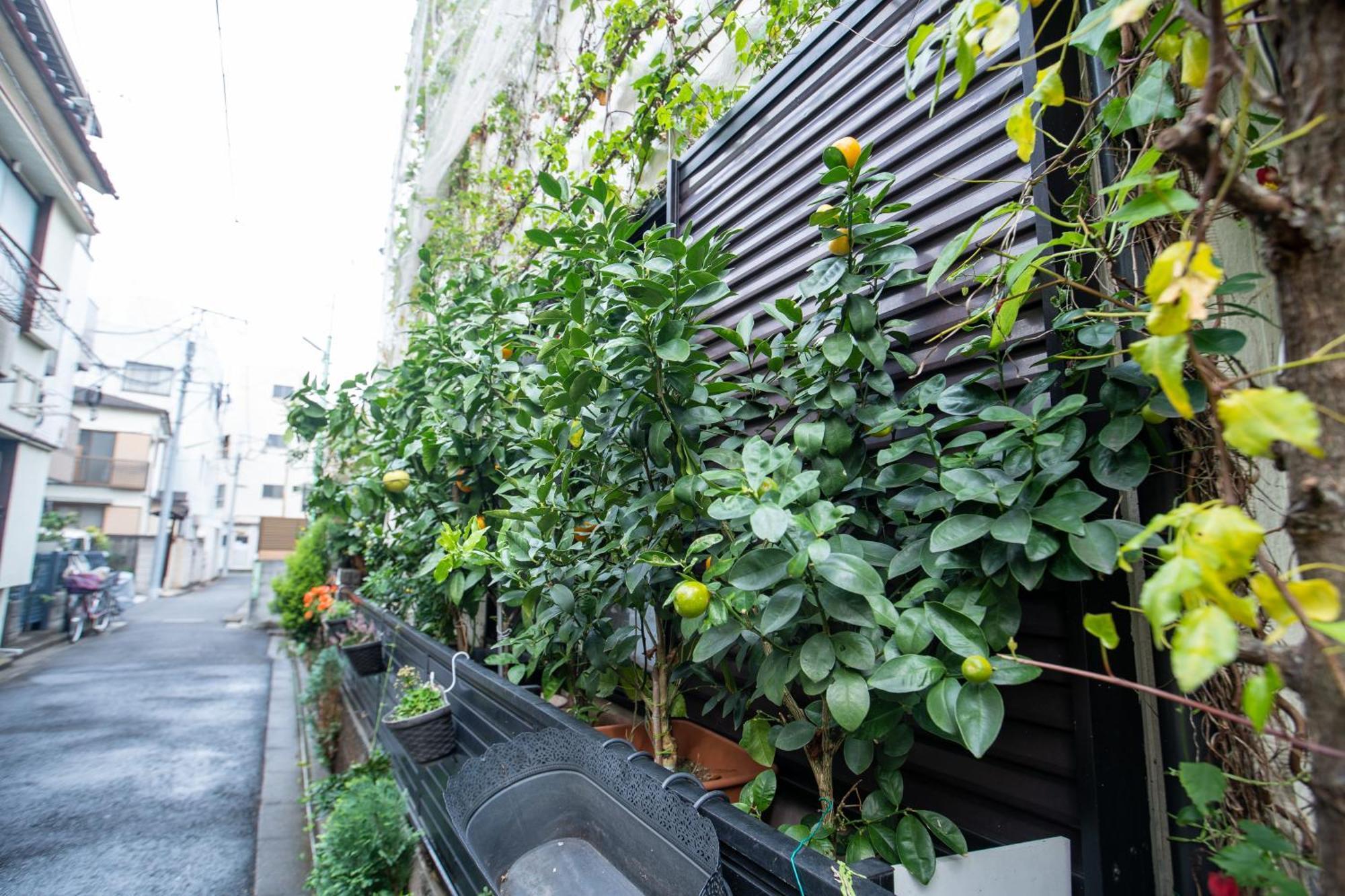 Casa vacanze 東京吉久花園旅館 Tokyo